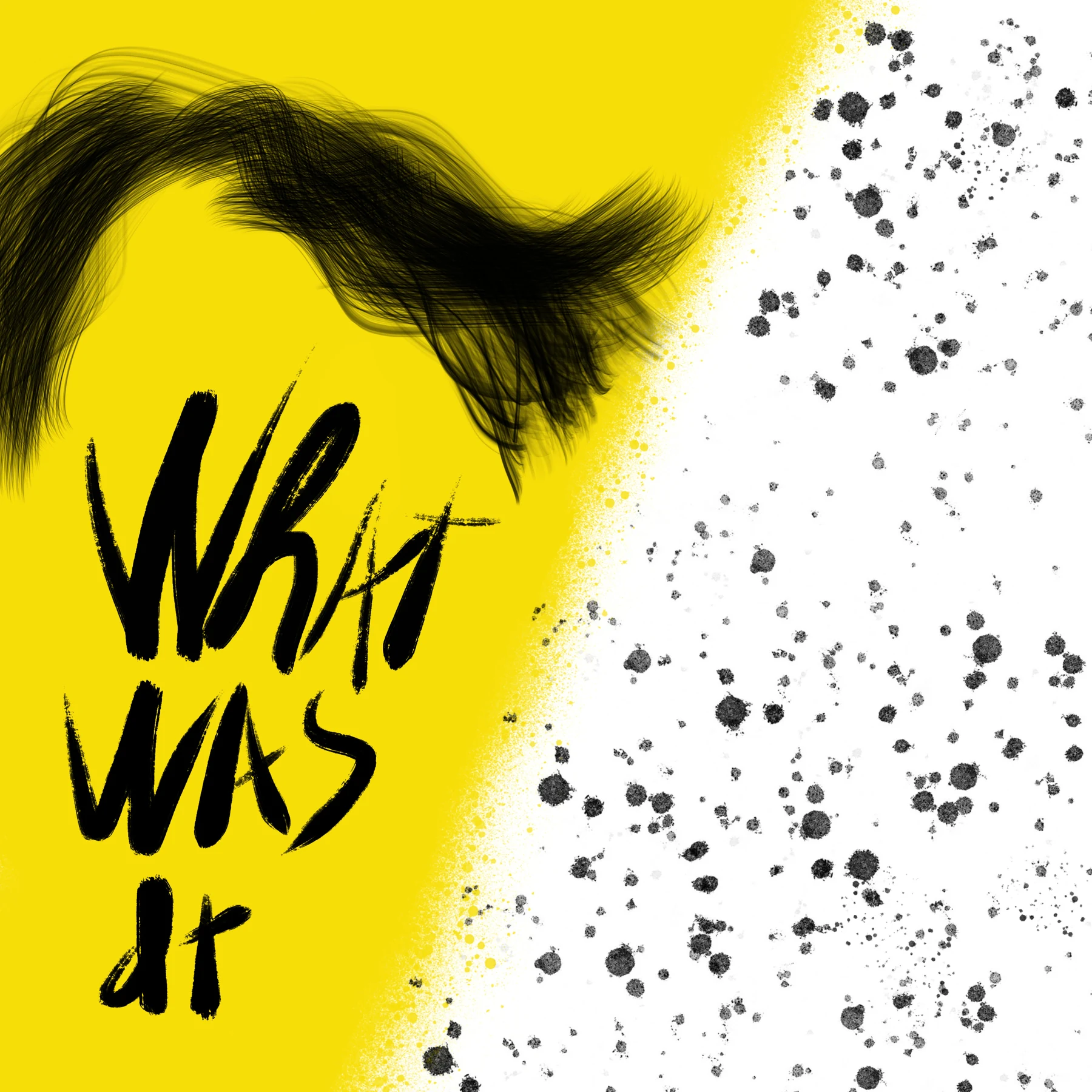 Cover of Whatwasit