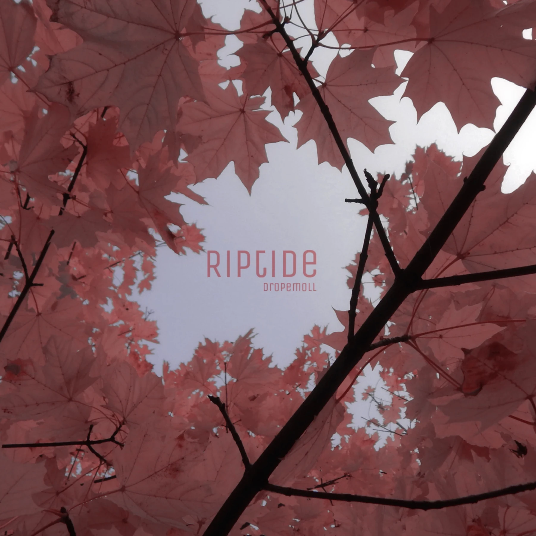 Cover of Riptide